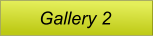 Gallery 2